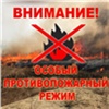 Еще в 4 районах Красноярского края ввели особый противопожарный режим