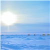 Совет по развитию Севера и Арктики создали в Красноярском крае