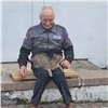 Прихожане красноярского храма на Щорса просят вернуть украденного кота Барсика (видео)