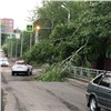 «Повреждены деревья, машины, здания, дорожные знаки, ЛЭП»: в Красноярске оценивают ущерб от неожиданного удара стихии 