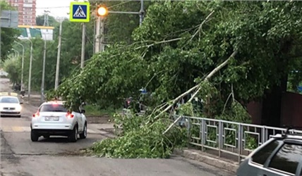 «Повреждены деревья, машины, здания, дорожные знаки, ЛЭП»: в Красноярске оценивают ущерб от неожиданного удара стихии 