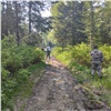 В лесу под Красноярском десятки полицейских ищут пожилого сборщика черемши с отказавшими ногами 