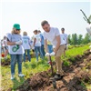 В Красноярском крае при участии волонтеров Сбера заложили новый хвойный лес «Сада памяти» 