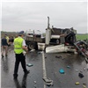 Под Красноярском из-за смертельной аварии с двумя грузовиками и легковым автомобилем полностью перекрыли дорогу