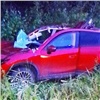 «Забор пора делать!»: на трассе под Ачинском автоледи сбила лося