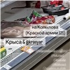 «Отраву она не хочет»: в красноярском супермаркете сети «Красный яр» заметили крысу на прилавке