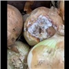 Красноярец пожаловался на гнилые овощи в «Красном яре» (видео)