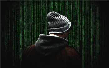 Люди глупеют или мошенники умнеют? Почему нас стало так просто обмануть