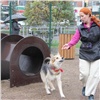 В Красноярске открыли еще одну площадку для игр с собаками