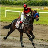 Две лошади из Красноярского края установили всероссийские рекорды на бегах в Барнауле (видео)