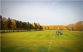 «Лаборатория зеленого газона»: в красноярской «Юдинской долине» приступили к созданию ландшафтного парка