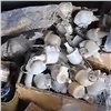 Огромный запас боеприпасов нашел новый хозяин дома в пригороде Красноярска (видео)