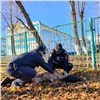 Ачинские полицейские спасли раненую косулю (видео) 