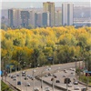 Теплая погода в Красноярске простоит до конца недели