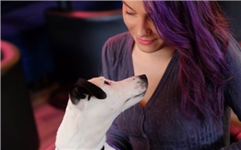 «Собаки — тоже люди!»: гид по дог-френдли заведениям в центре Красноярска