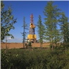 Нефтяники «РН-Ванкор» сохранили от вырубки больше двух тысяч деревьев, сдав макулатуру на переработку