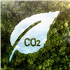 Андрей Мельниченко: климатические проекты стран БРИКС+ помогут сократить выбросы парниковых газов