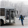 Кондуктор красноярского автобуса отрицает насильную высадку детей на мороз (видео)