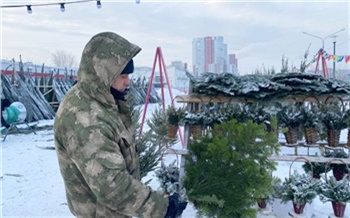 «Лапки за 300, макушка — 8 тысяч рублей»: что можно купить на ёлочных базарах в Красноярске?