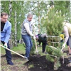 Депутаты красноярского Горсовета отметили День эколога высадкой деревьев
