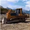 В Иркутской области медведь влез в бульдозер вахтовиков и устроил погром (видео)