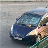 В Красноярске неадекватный мужчина поломал кусты и разбил авто на улице Свердловской (видео)