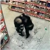 Напавшего в Дивногорске на охранника магазина вора отправили в колонию  (видео)