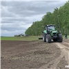 Жительница Красноярского края случайно вырастила конопляное поле на 40 га