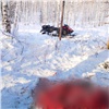 Браконьер убил беременную лосиху в Красноярском крае (видео)