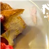 Красноярец купил выпечку с куском пластика в кафе «Кекс и крендель» (видео)