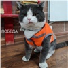 Кот-железнодорожник Батон из Красноярского края приболел