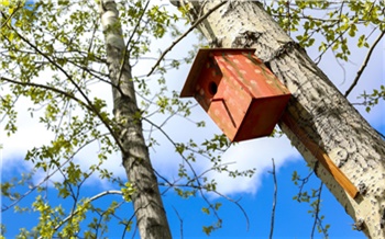 Мирный март: прогноз погоды в Красноярске на месяц