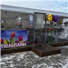 Мэрия назвала официальные точки продаж тюльпанов к 8 Марта в Красноярске 