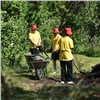 Трудовой отряд главы Красноярска открывает прием заявок на апрель