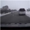 В Минусинском районе водитель-бесправник сел за руль «Тойоты» и попался полиции (видео)