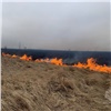 В Красноярске произошел первый весенний пал травы (видео)