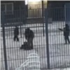 Заступившийся за сына отец побил двух подростков в красноярском Преображенском (видео)
