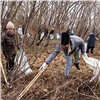 В Красноярске стартовал двухмесячник по благоустройству и озеленению