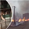 40 собак из красноярского приюта пришлось спасать от огня во время пала травы