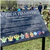 В Красноярске заложили Аллею Памяти в честь героев войны и бойцов СВО