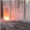 Компания РУСАЛ помогает сохранять сибирские леса от пожаров