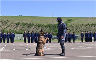 Программа празднования Дня России-2025 в Красноярске