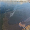 Красноярцы снова заметили огромные масляные пятна на Енисее в районе Тихих зорь