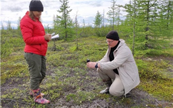 Тающий фундамент Арктики: как красноярские ученые прогнозируют будущее «вечной» мерзлоты