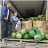 Импорт арбузов в Красноярский край существенно вырос