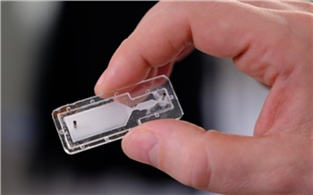 «Лекарства с самонаведением»: как красноярские ученые создали молекулы для точечной борьбы с болезнями