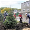 На Красноярском цементном заводе появилась экоаллея