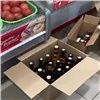 Красноярские магазины снова уличили в торговле алкоголем по ночам (видео)