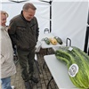 На Всероссийской ярмарке в Красноярске выбрали самый большой кабачок