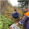 В Красноярском крае ищут пропавшего во время похода туриста из Чечни